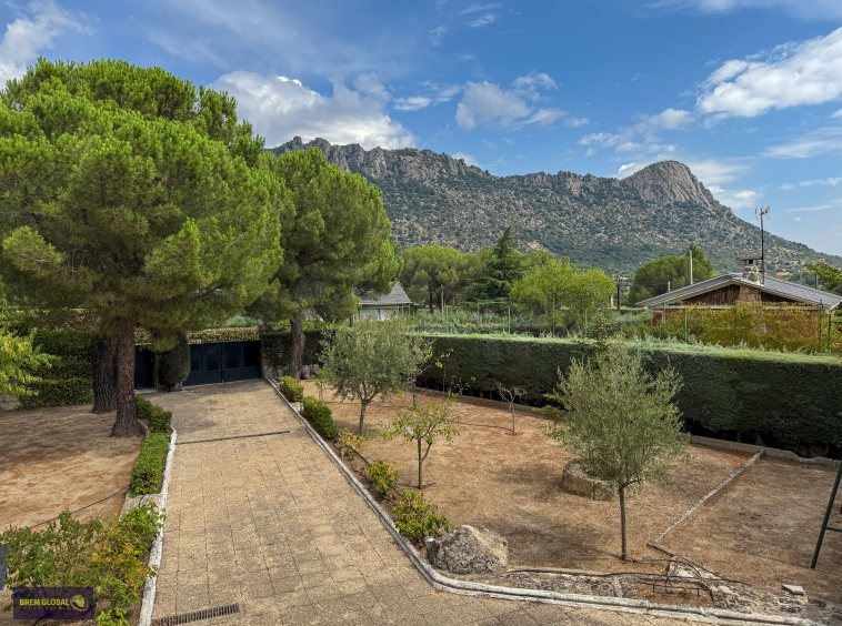 Casa o chalet independiente en venta en Calle del Pino