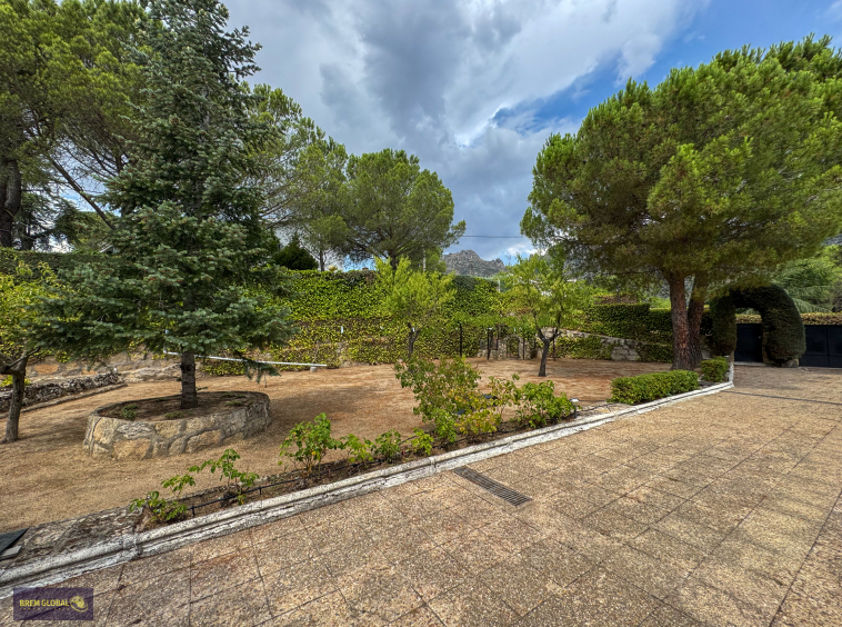 Casa o chalet independiente en venta en Calle del Pino