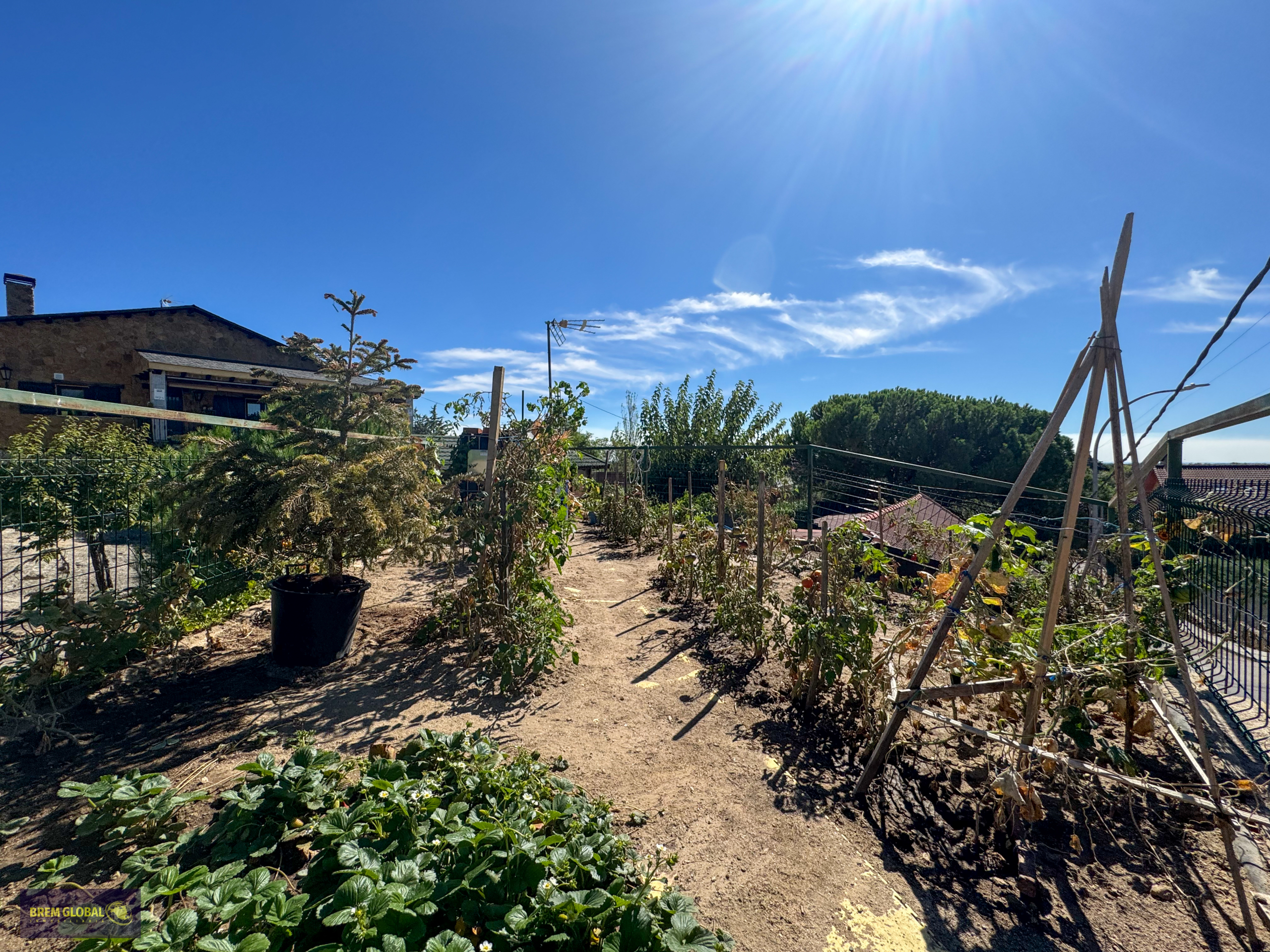 Casa o chalet independiente en venta en Calle de la Hoyuela