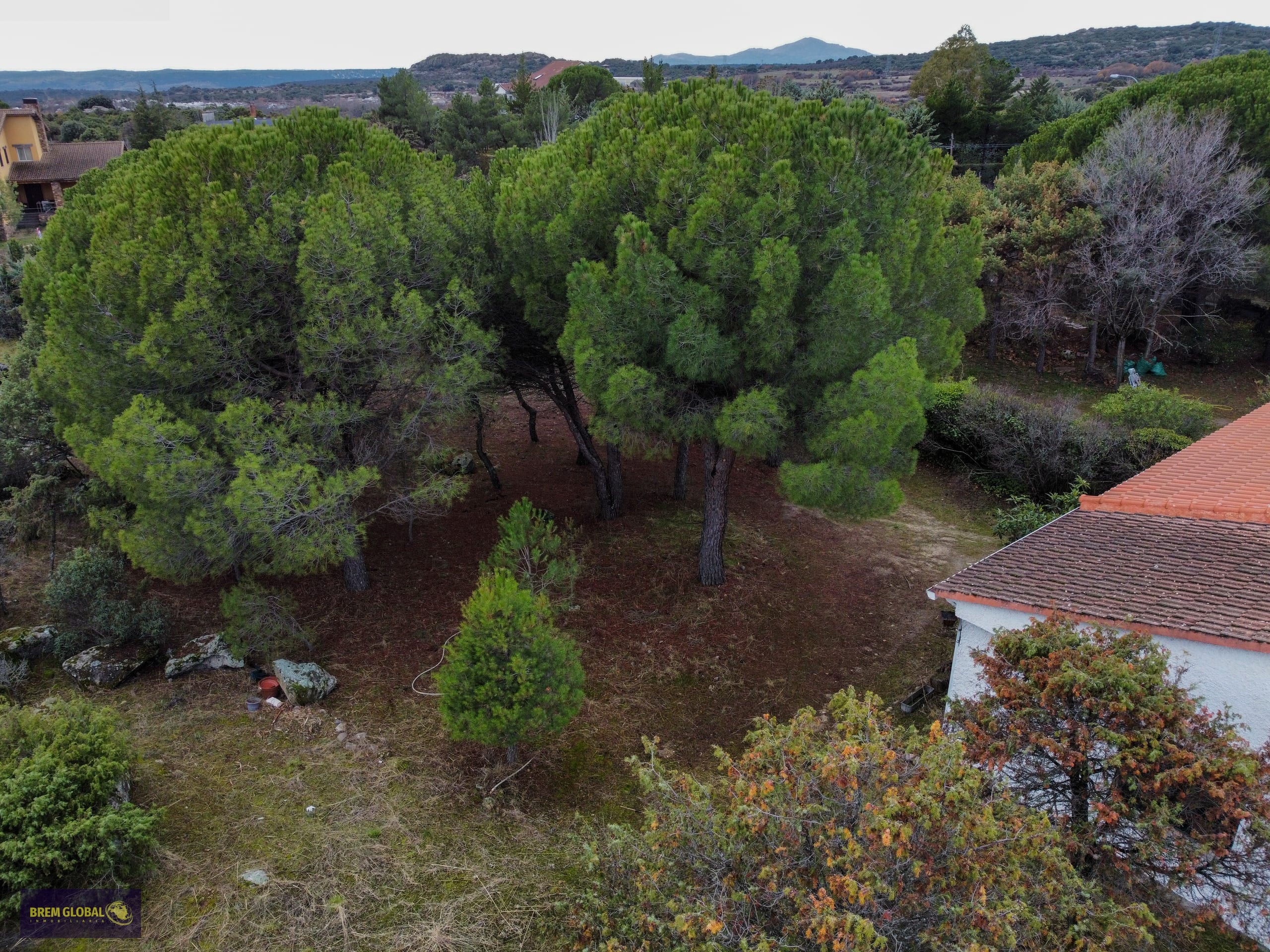 Chalet pareado en venta en Pradera del Amor, El Berrueco: foto 4 de 53