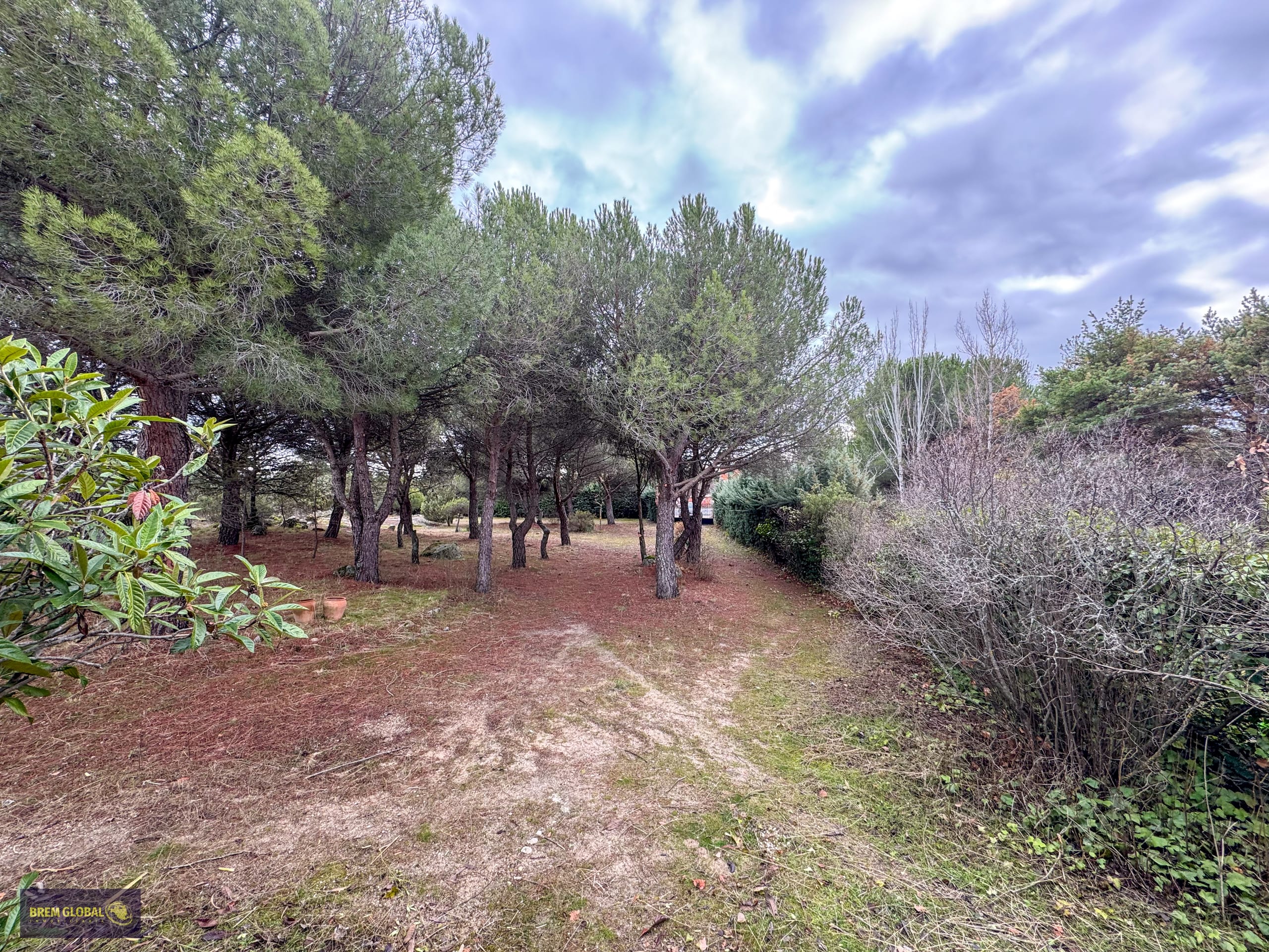 Chalet pareado en venta en Pradera del Amor, El Berrueco: foto 11 de 53