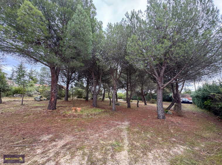 Chalet pareado en venta en Pradera del Amor, El Berrueco: foto 29 de 53