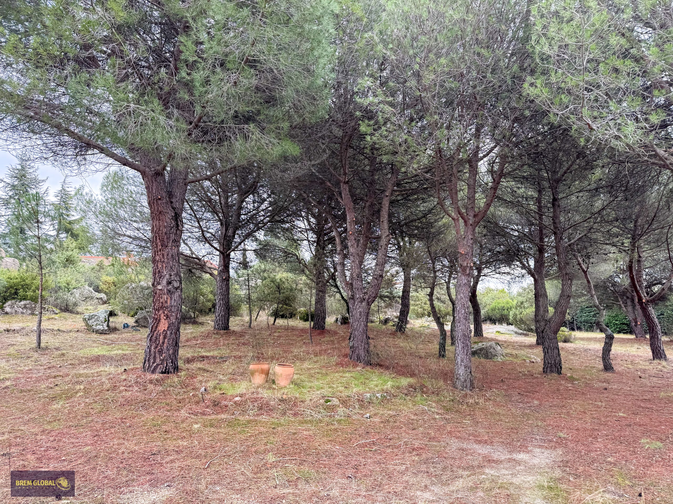 Chalet pareado en venta en Pradera del Amor, El Berrueco: foto 30 de 53