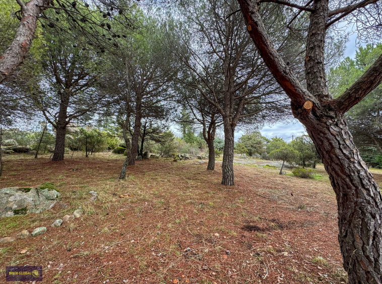 Chalet pareado en venta en Pradera del Amor, El Berrueco: foto 32 de 53