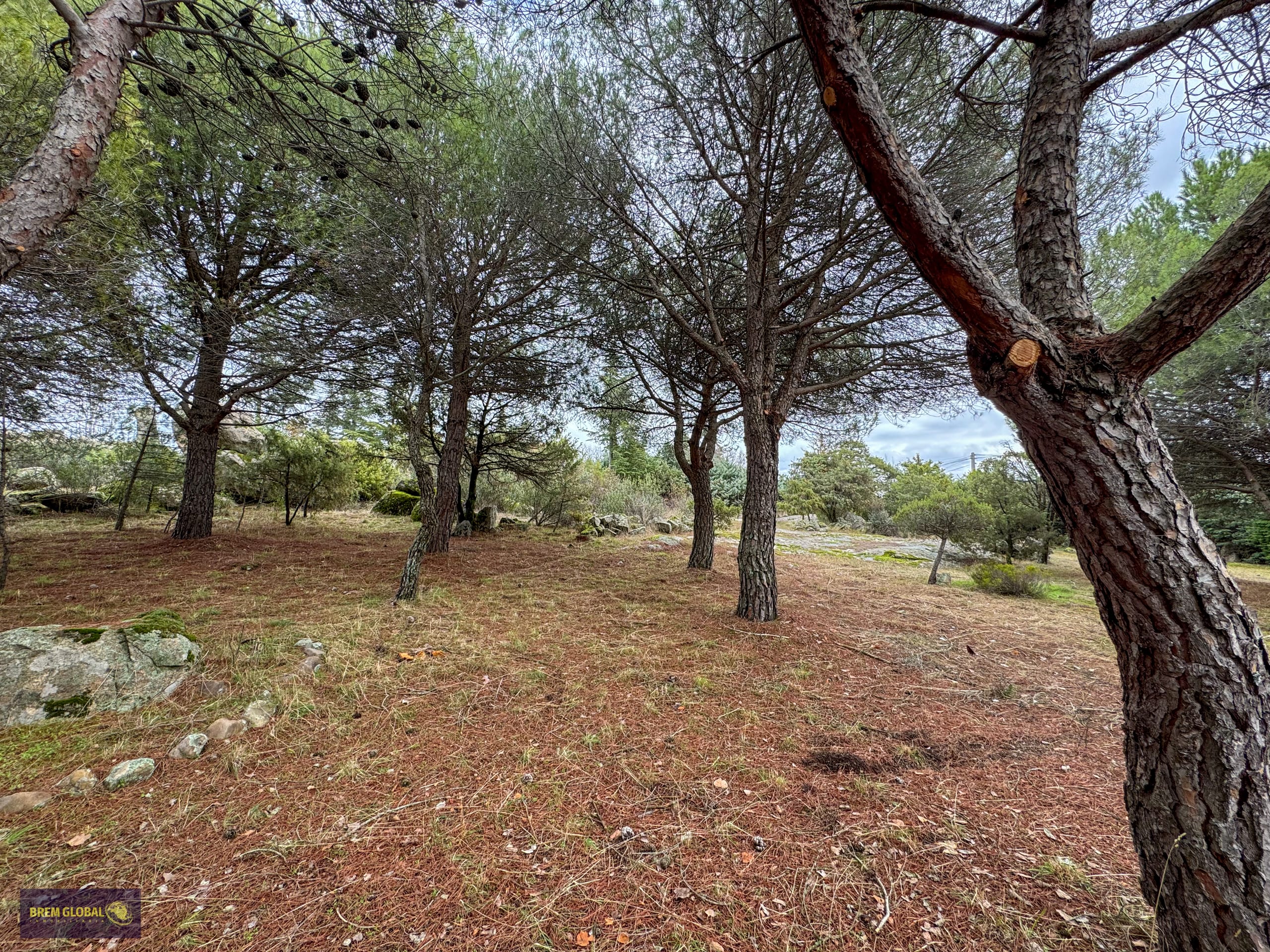 Chalet pareado en venta en Pradera del Amor, El Berrueco: foto 32 de 53
