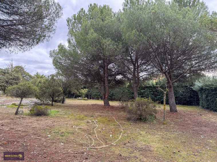 Chalet pareado en venta en Pradera del Amor, El Berrueco: foto 33 de 53