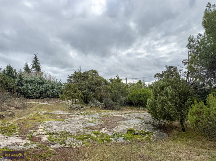Chalet pareado en venta en Pradera del Amor, El Berrueco: foto 35 de 53