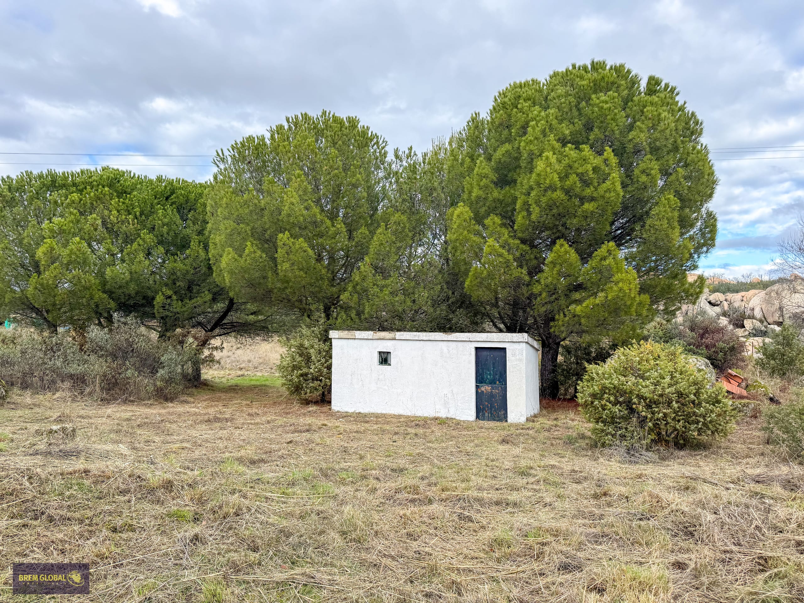 Chalet pareado en venta en Pradera del Amor, El Berrueco: foto 38 de 53