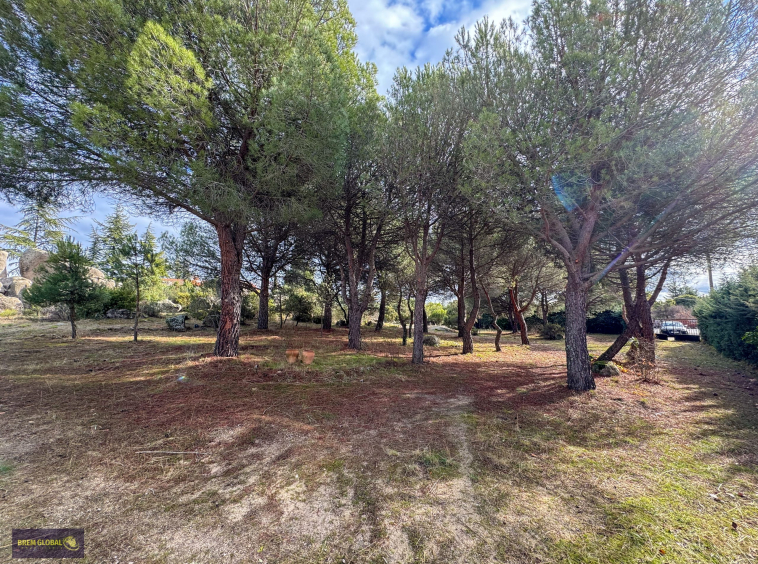 Chalet pareado en venta en Pradera del Amor, El Berrueco: foto 47 de 53