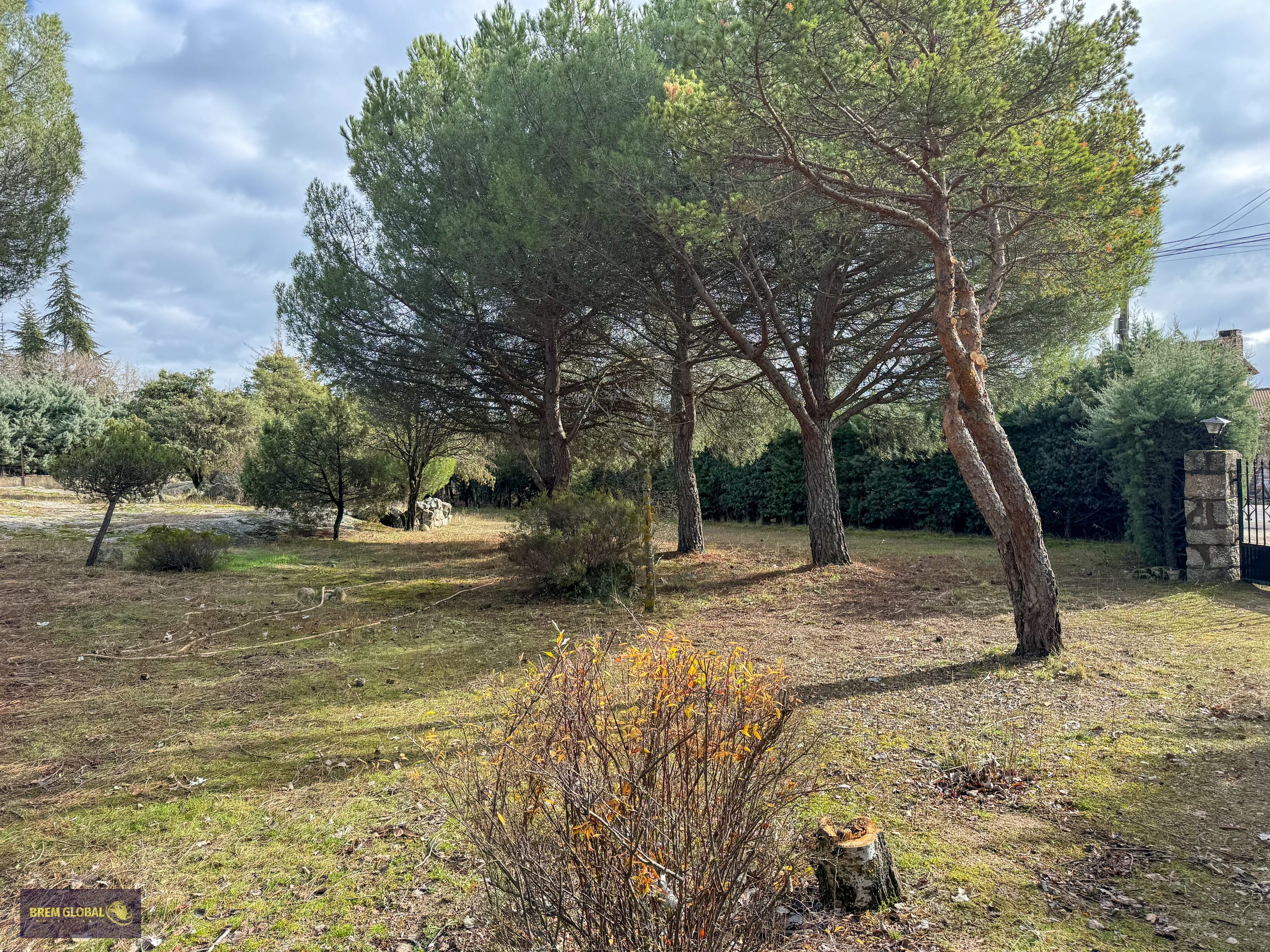 Chalet pareado en venta en Pradera del Amor, El Berrueco: foto 49 de 53