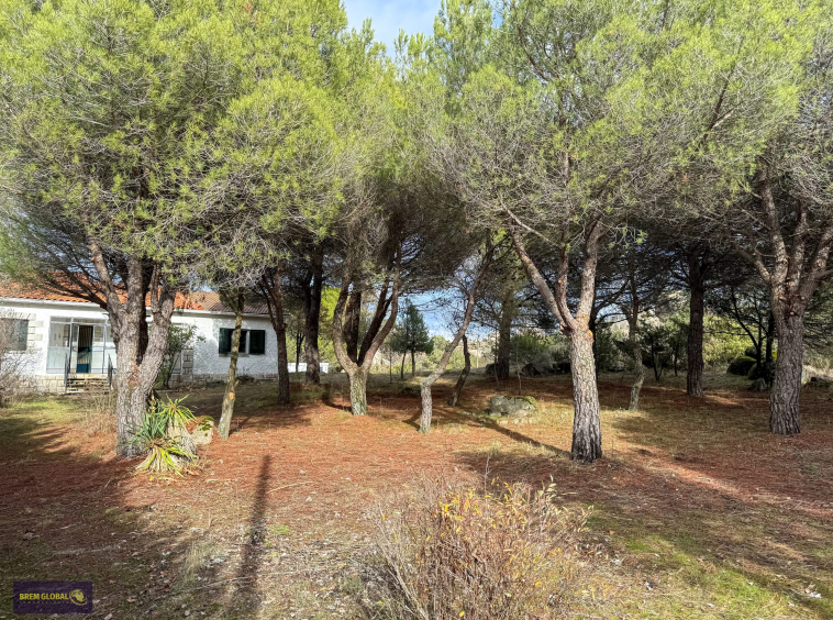 Chalet pareado en venta en Pradera del Amor, El Berrueco: foto 50 de 53