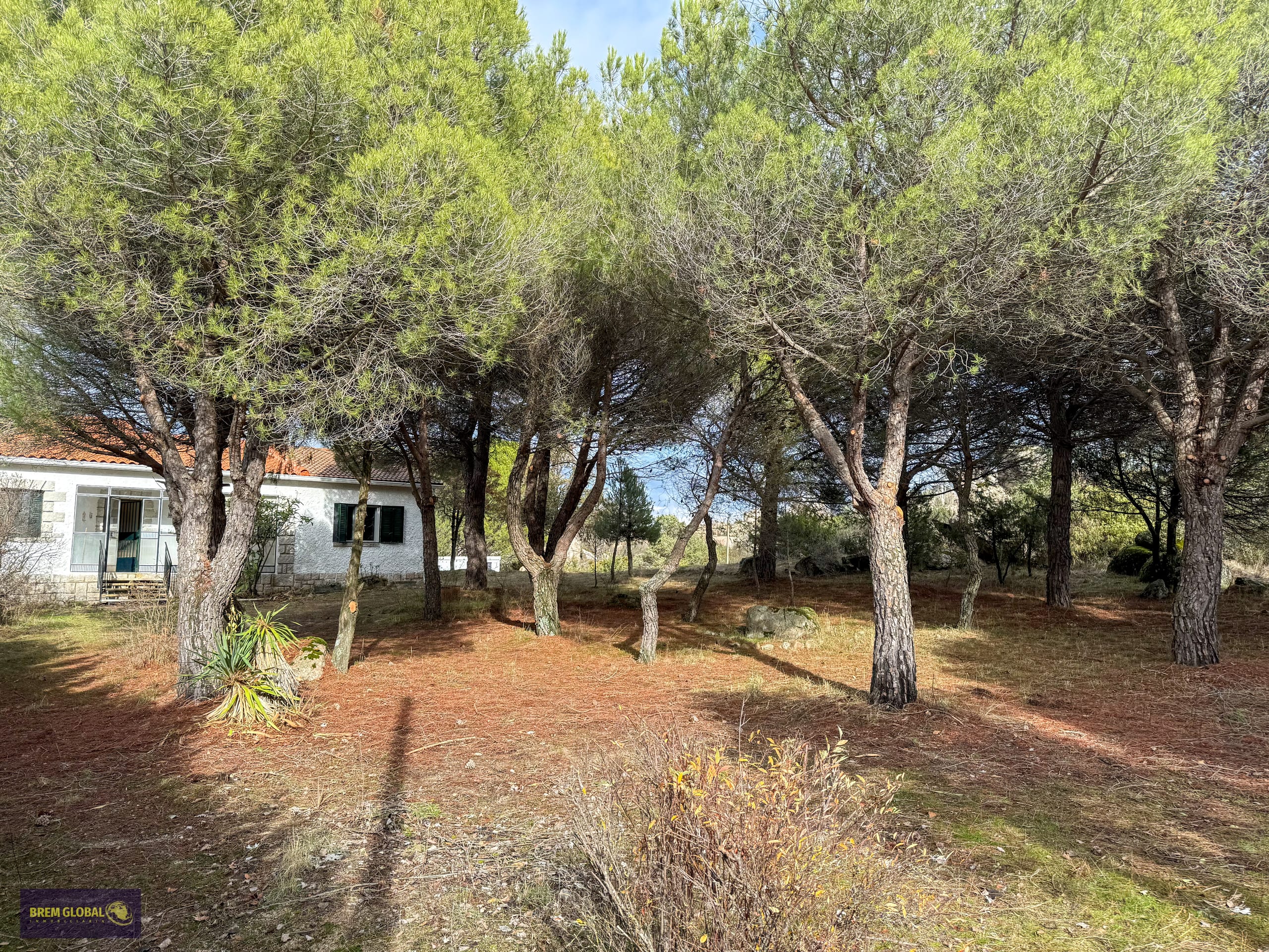 Chalet pareado en venta en Pradera del Amor, El Berrueco: foto 50 de 53