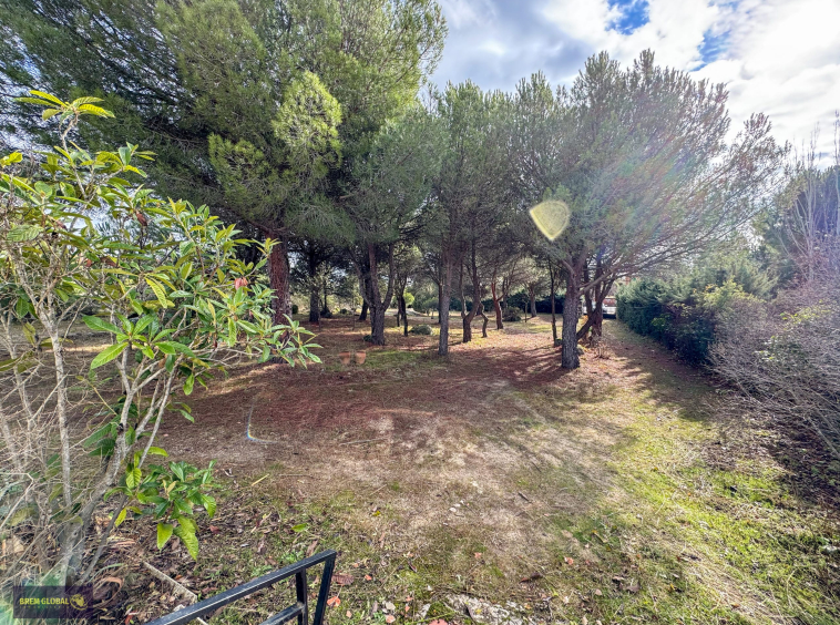 Chalet pareado en venta en Pradera del Amor, El Berrueco: foto 53 de 53